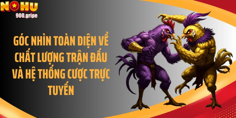 Góc nhìn toàn diện về chất lượng trận đấu và hệ thống cược trực tuyến